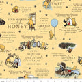 Winnie the Pooh Main Sunshine