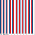 Firecracker Stripes Multi