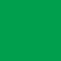 Confetti Cotton Emerald City