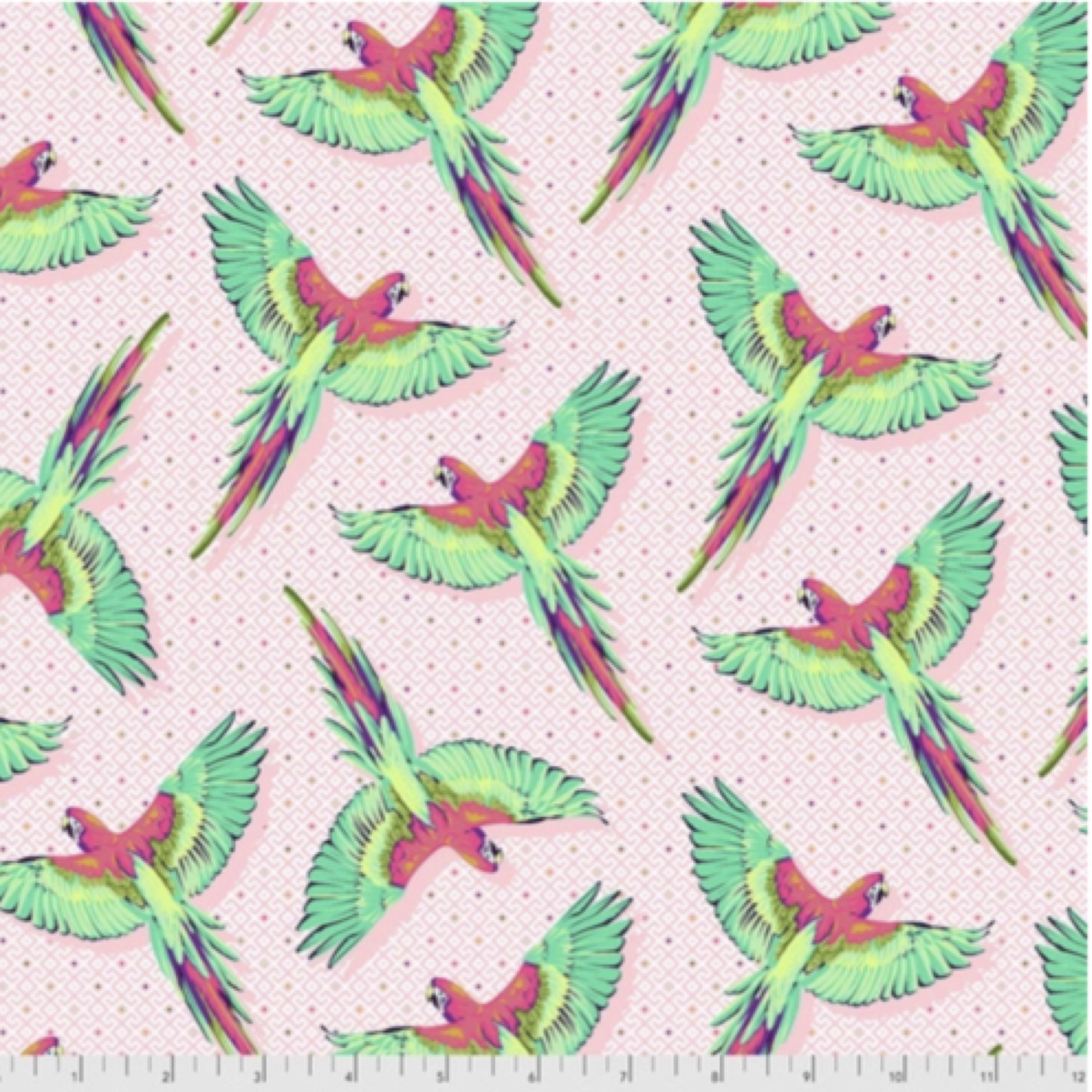Tula Pink Macaw YA Later