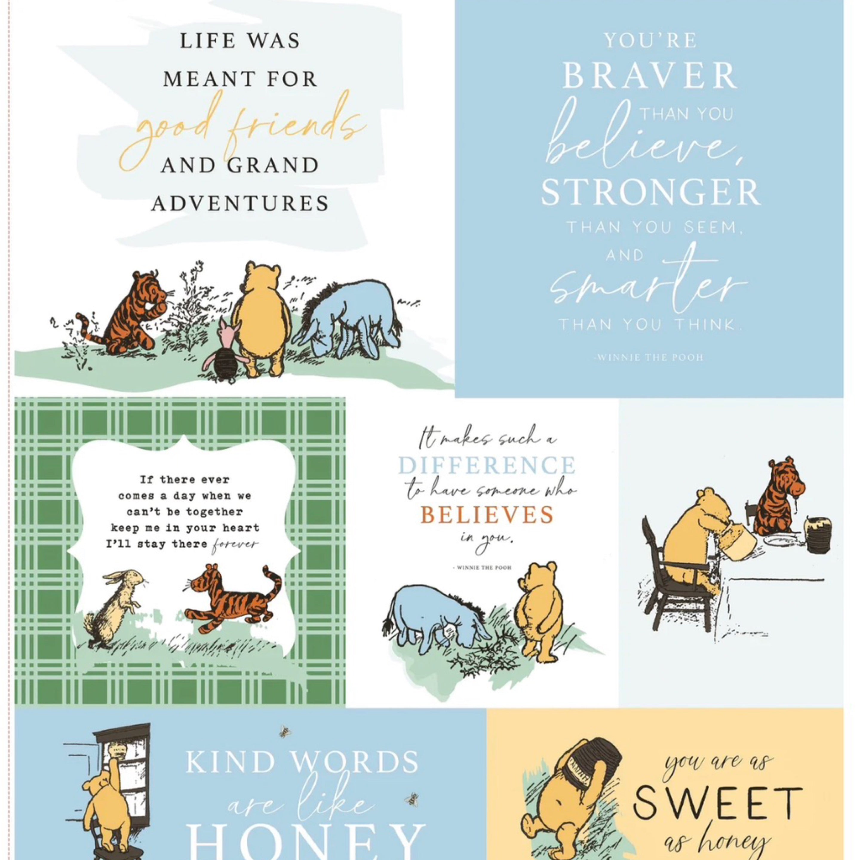 Winnie The Pooh Panel