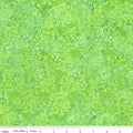 Batiks Swirl The Rainbow Green Apple